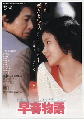 龙城飞将 电影海报